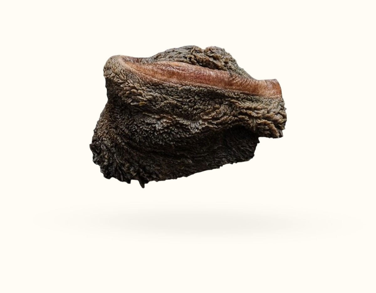 Ox ( beef) tripe CHUNKS 1KG