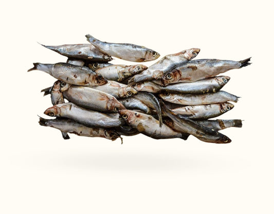 Whole seasonal oily fish 1KG
