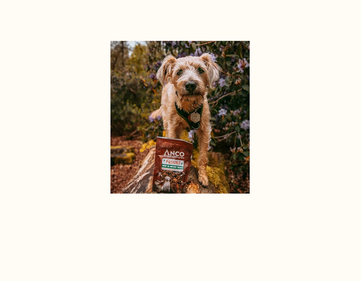 ANCO Fusions Hemp Oil Infused 100g
