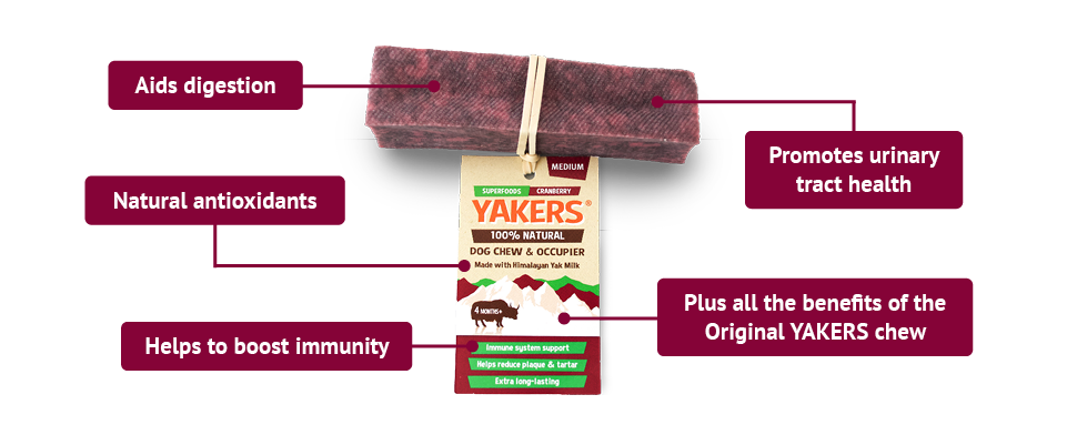 Medium Cranberry Yakers
