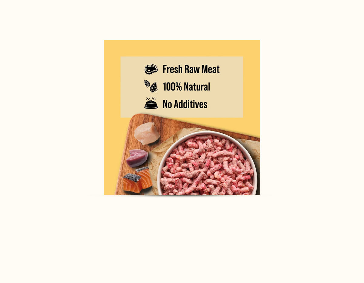 DIBO Free Flow Mince Chicken, Salmon & Pork Offal 1kg