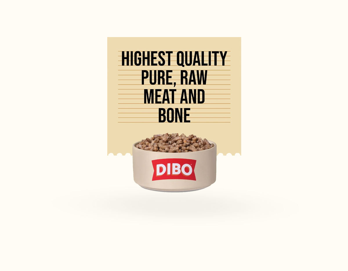 DIBO Free Flow Mince Salmon & Tripe 1kg