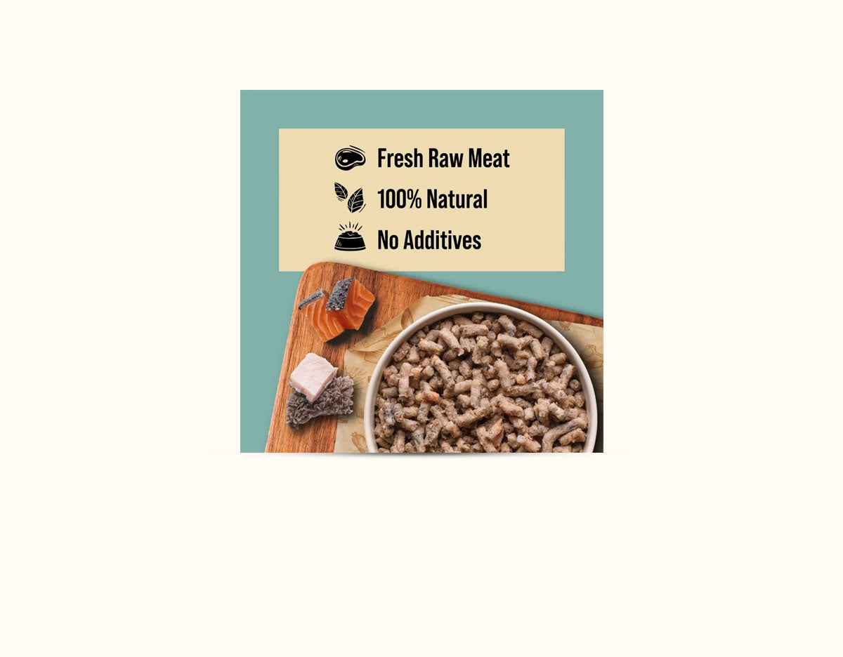 DIBO Free Flow Mince Salmon & Tripe 1kg