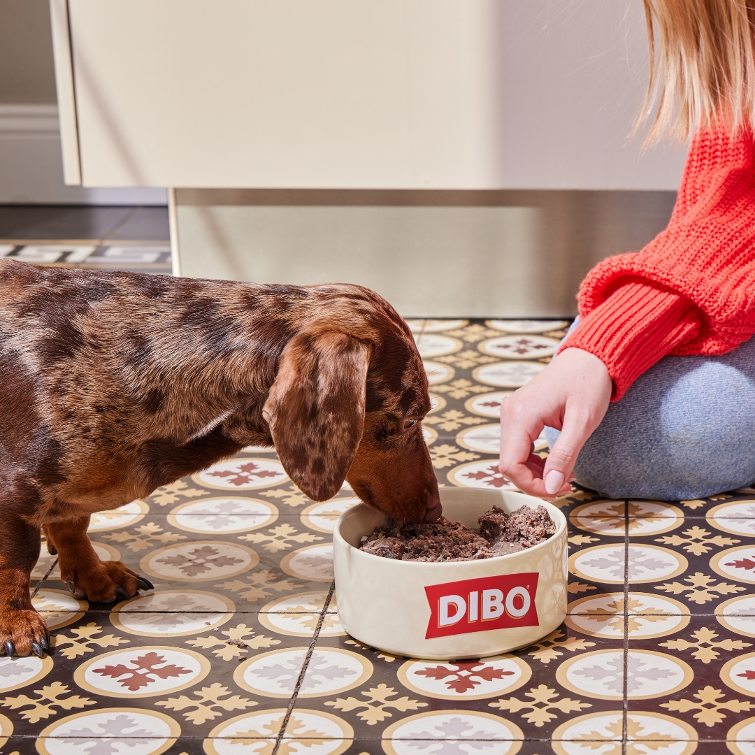 DIBO Fresh Cooked Block - Chicken 400g