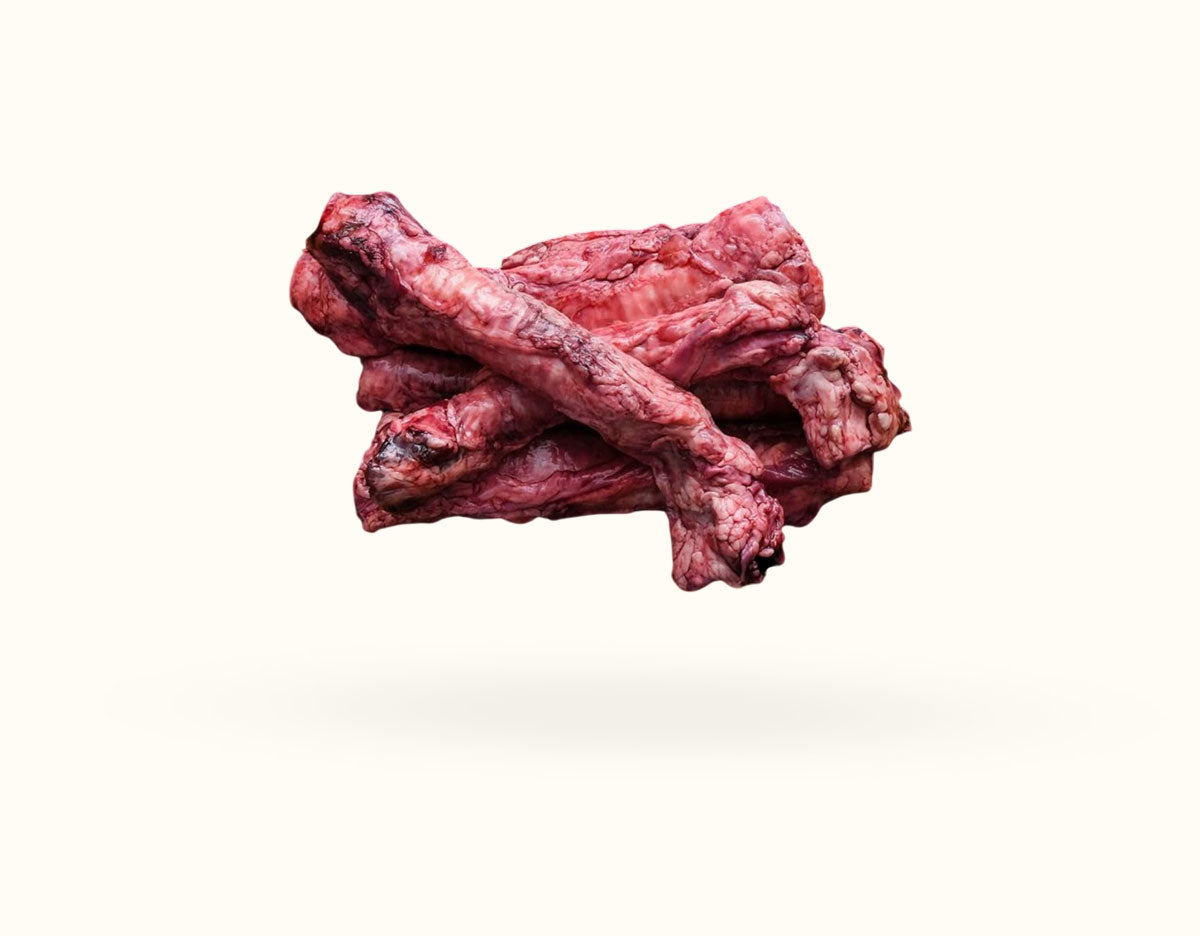 Lamb Trachea x 5