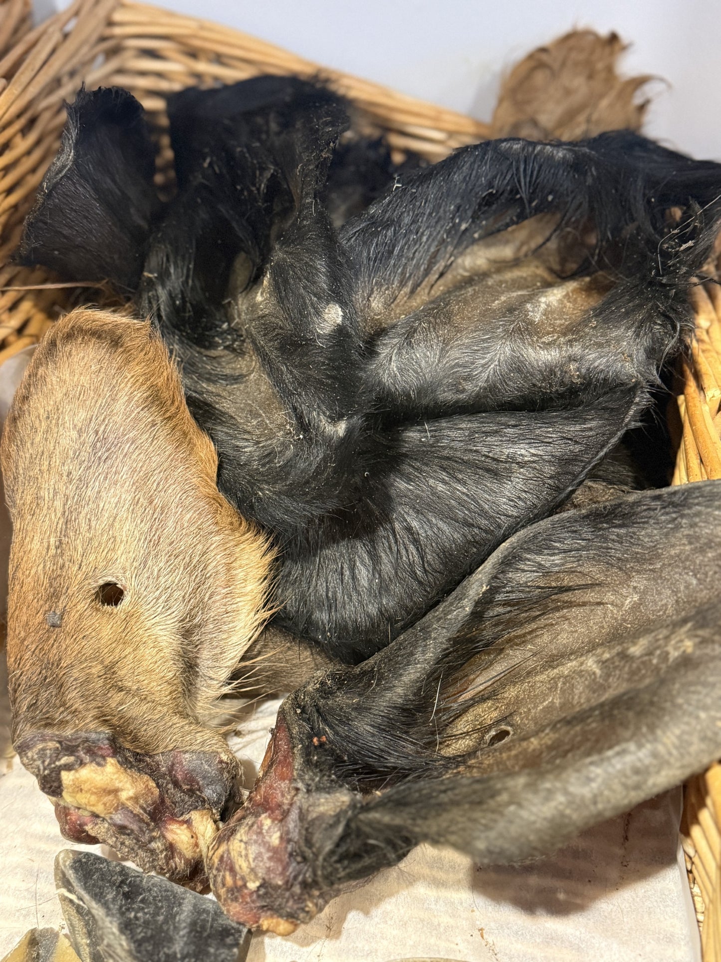 Hairy Cow Ear - Pack of 2
