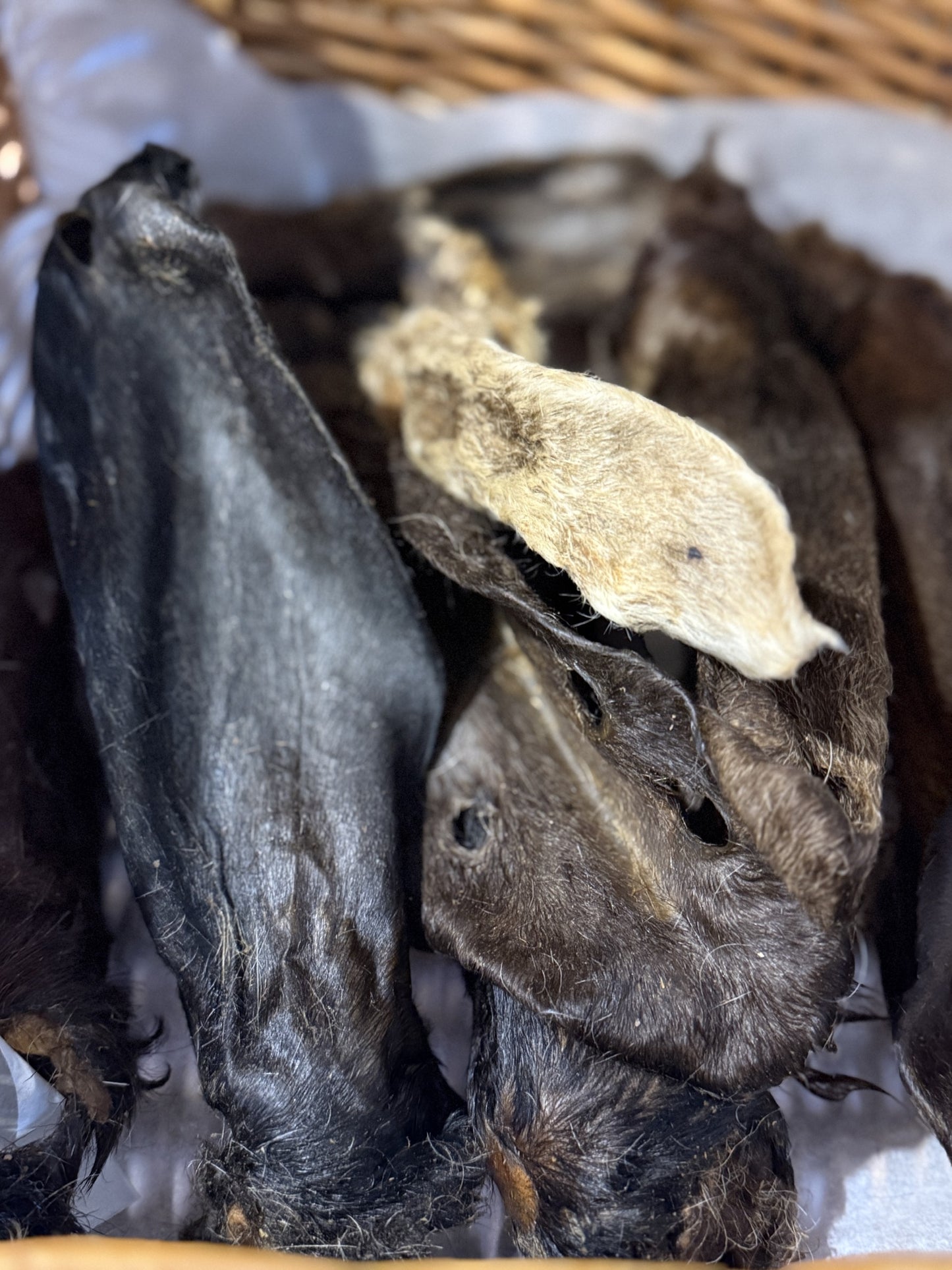 Hairy Goat Ears - Pack of 5