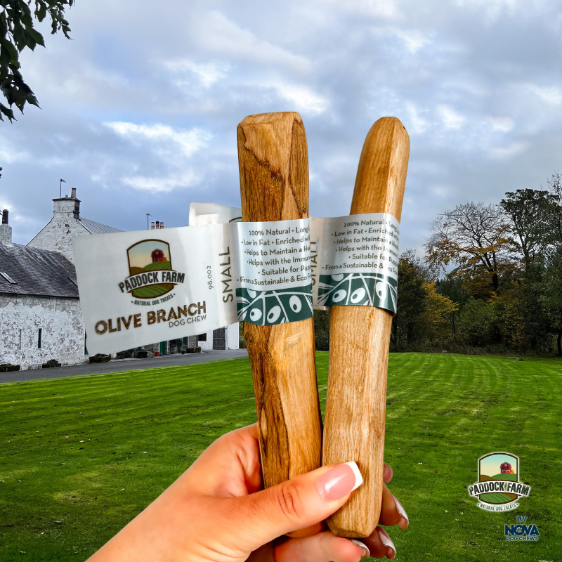 Olive Branch Small (60-100g)