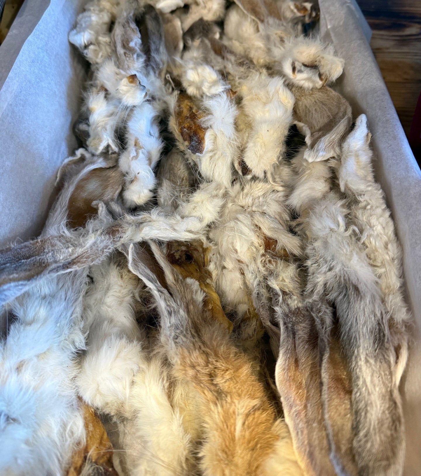 Hairy Rabbit Ears- Pack of 10
