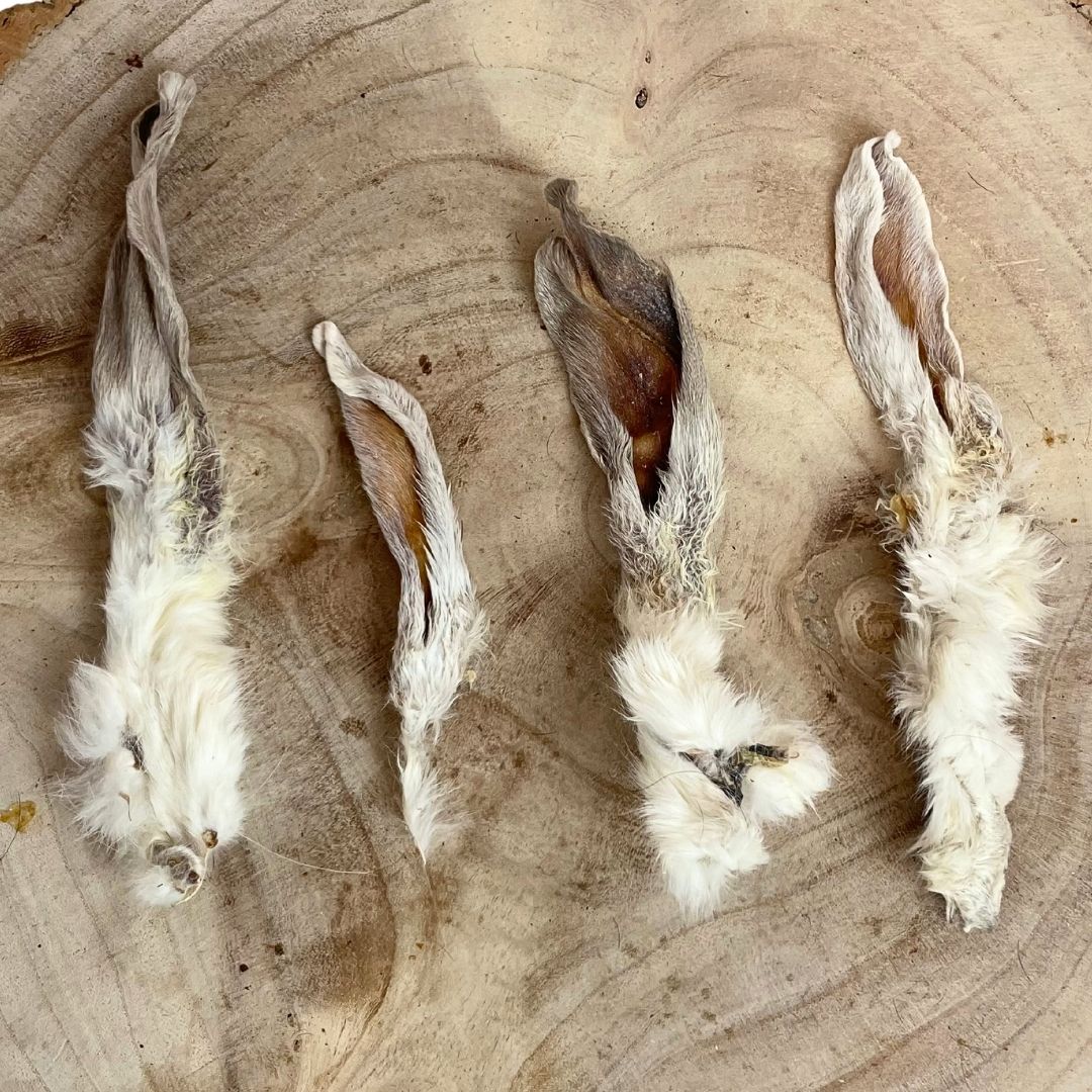 Hairy Rabbit Ears - single