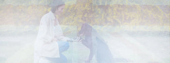 Try our Muntjac Deer chunks THE DOGS BUTCHER B2C THE DOGS BUTCHER B2C