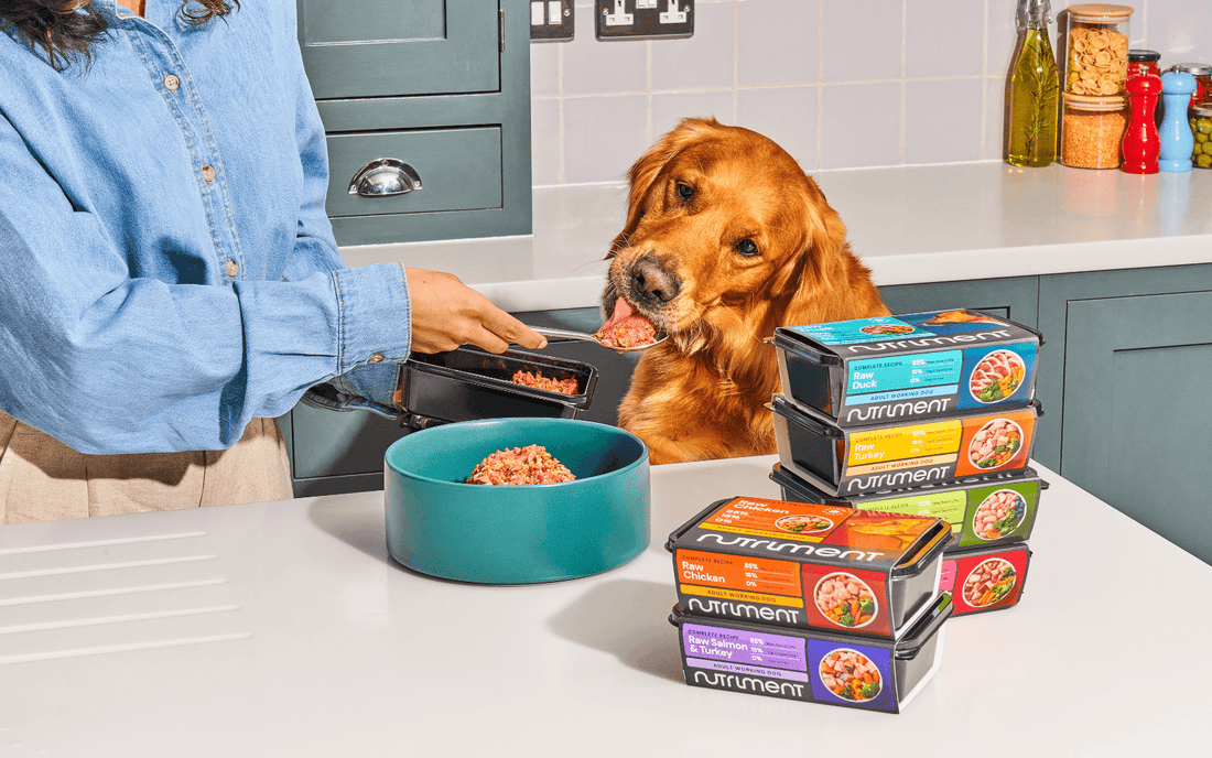 Raw Nutrition for Happier, Healthier Dogs 2