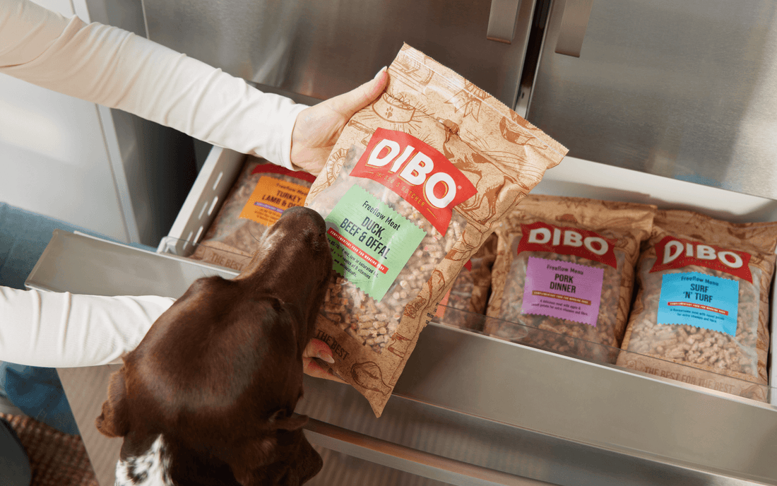 Raw Nutrition for Happier, Healthier Dogs V3