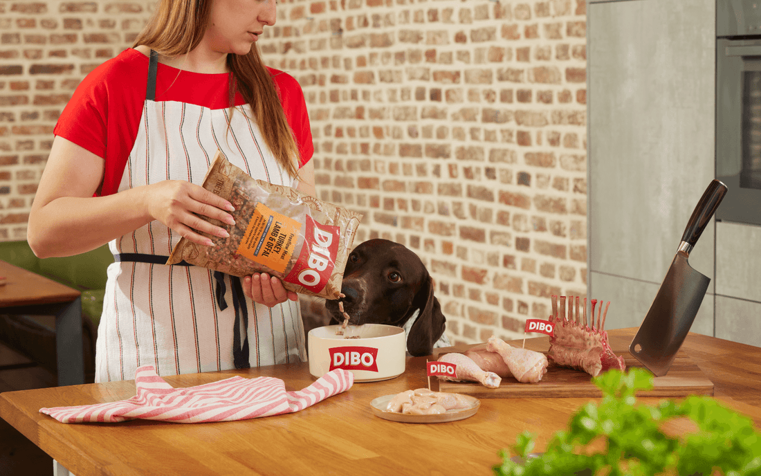 Raw Nutrition for Happier, Healthier Dogs