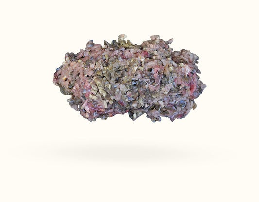 PUPPY Ox Tripe MINCE - BONELESS 1KG