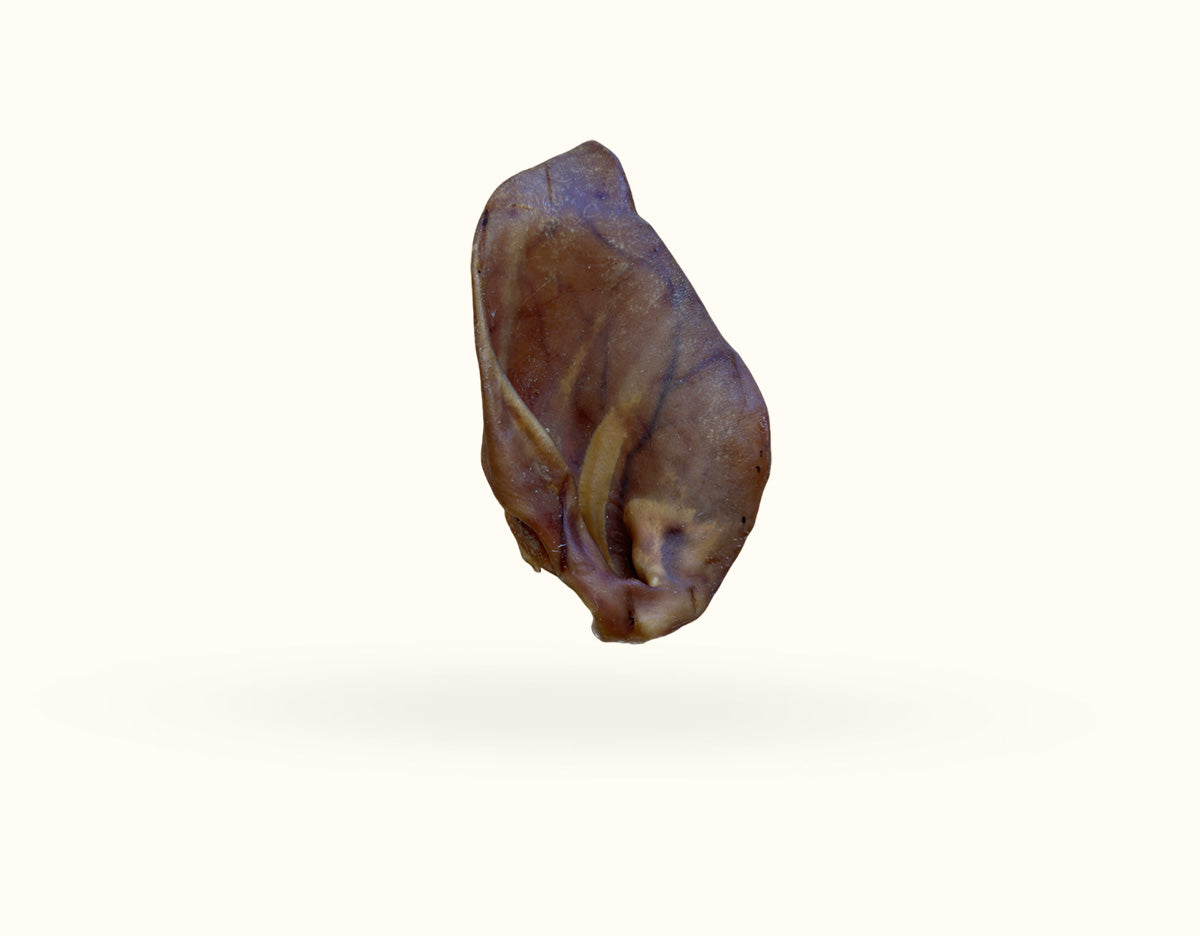 2 x Pig Ears