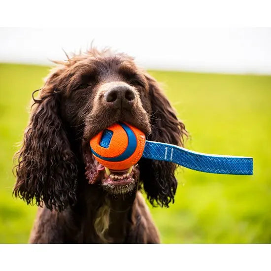 Chuckit Ultra Tug - Large