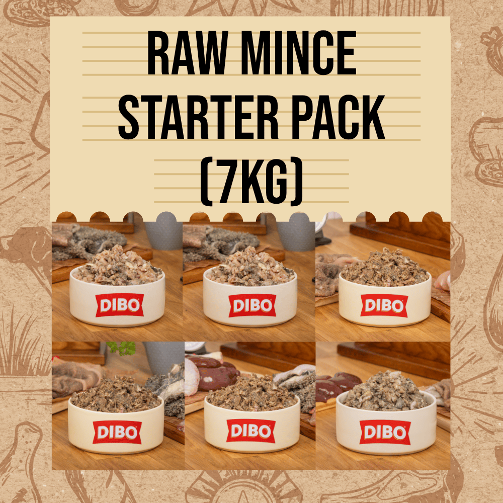 DIBO Finest Raw Mince Transition Starter Pack (7kg)