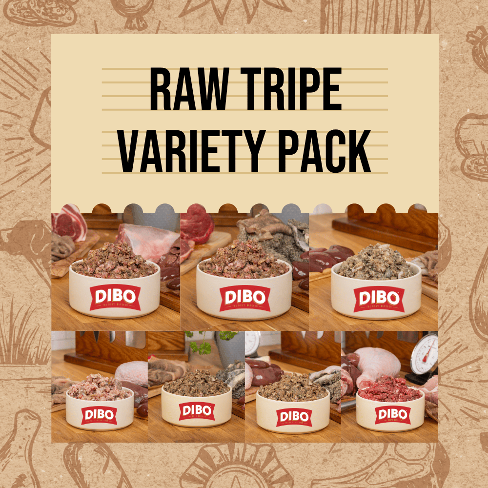 DIBO Finest Raw Tripe Minces 80:10:10 Variety Pack (7kg)