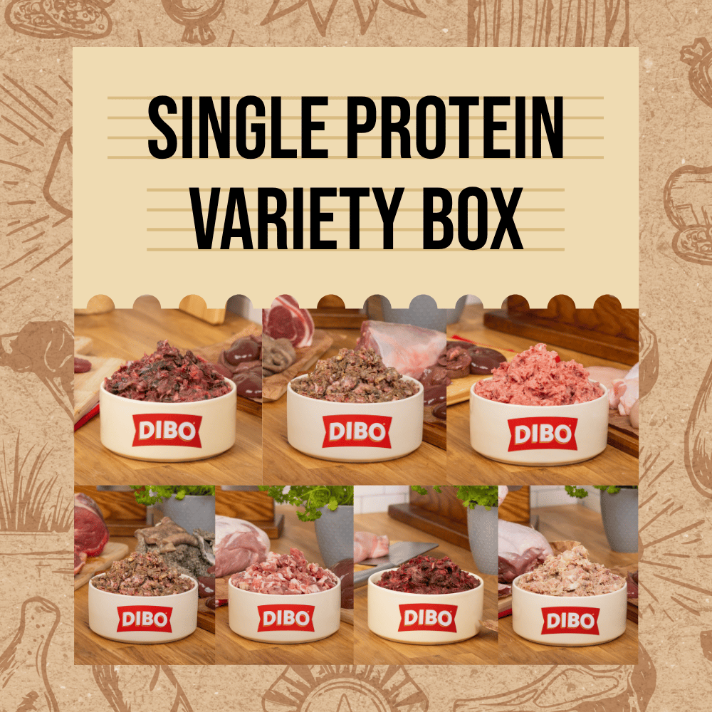 DIBO Finest Single Raw Protein 80:10:10 Variety Box (7kg)