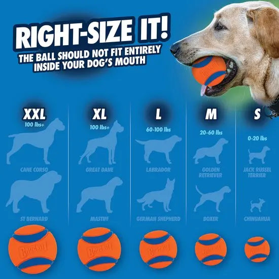 Chuckit Ultra Tug - Small
