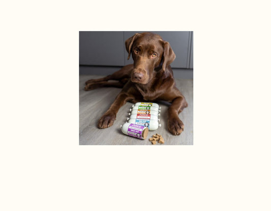 ANCO GOAT PATE - 200g