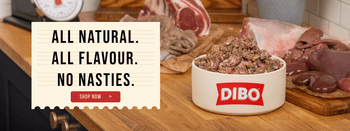 The Dogs Butcher The Dogs Butcher The Dogs Butcher