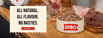 The Dogs Butcher The Dogs Butcher The Dogs Butcher