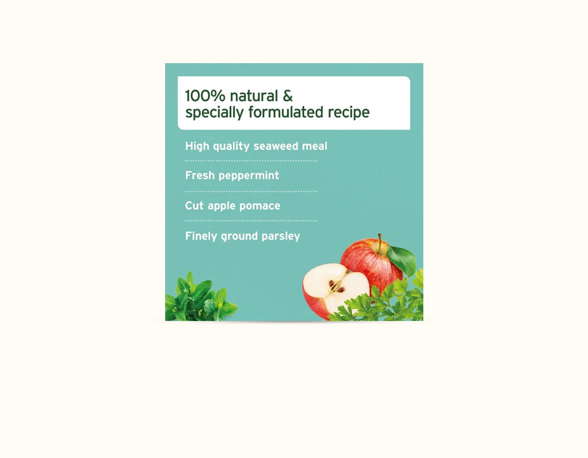 Ani Forte Dental Powder 80g