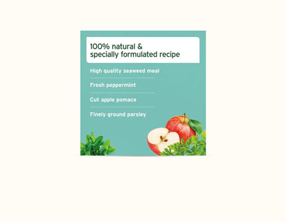 Ani Forte Dental Powder 80g