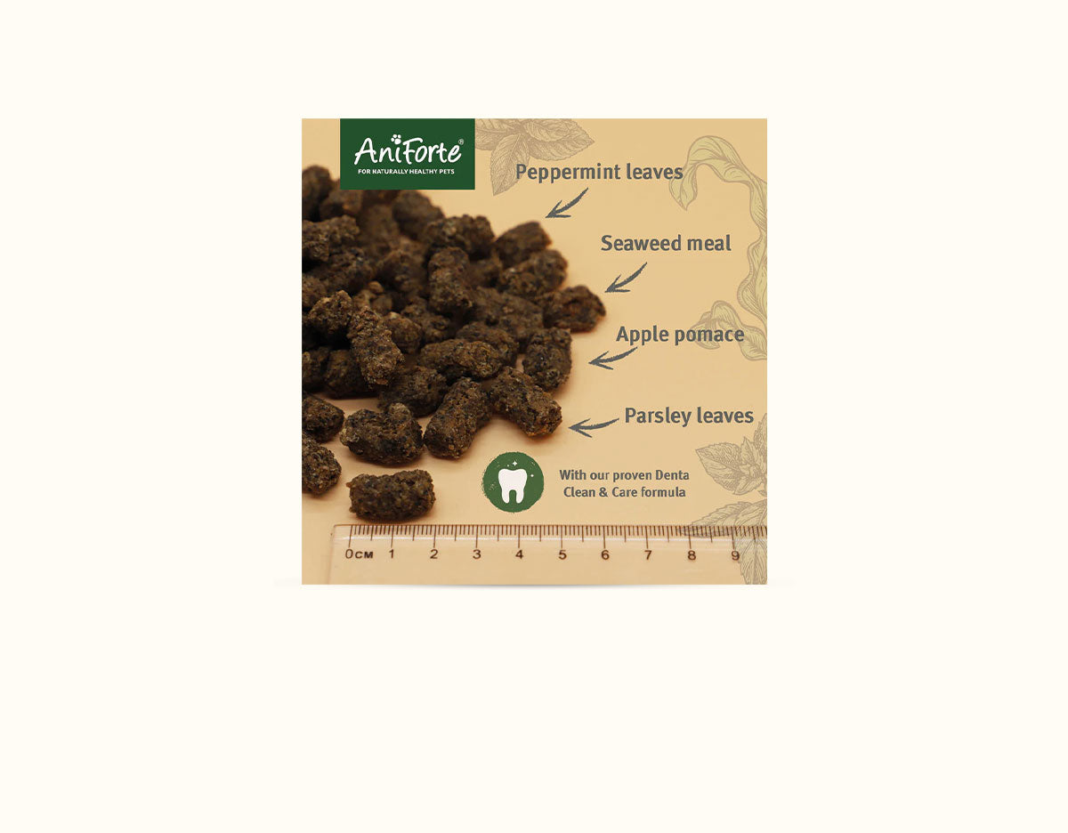 Ani Forte Dental Snack 300g