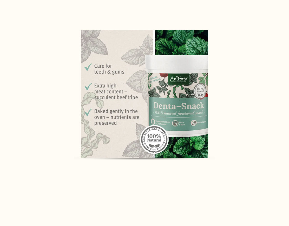 Ani Forte Dental Snack 300g