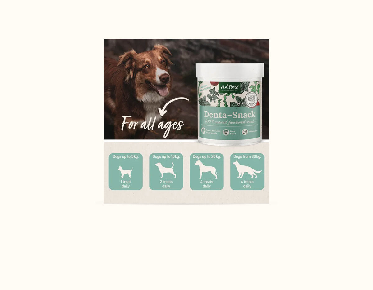 Ani Forte Dental Snack 300g
