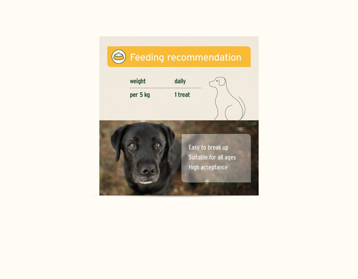 Ani Forte Digestion Snack 300g