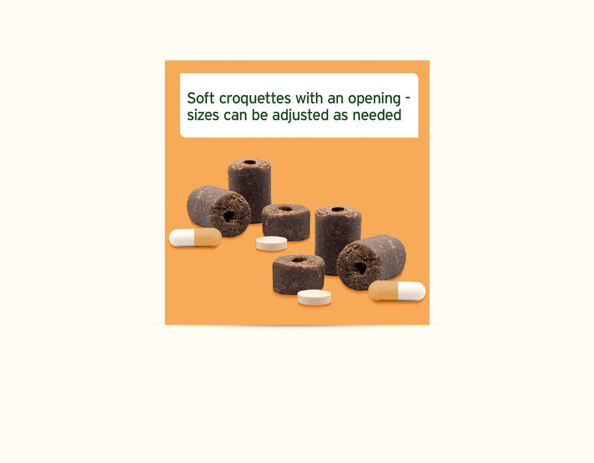 Ani Forte Hideaway Snack 250g