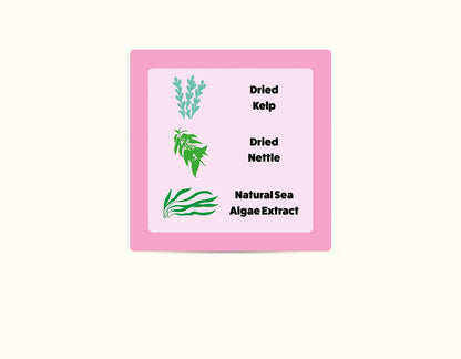 Axels Elixir Salmon Happy Bones - CAT