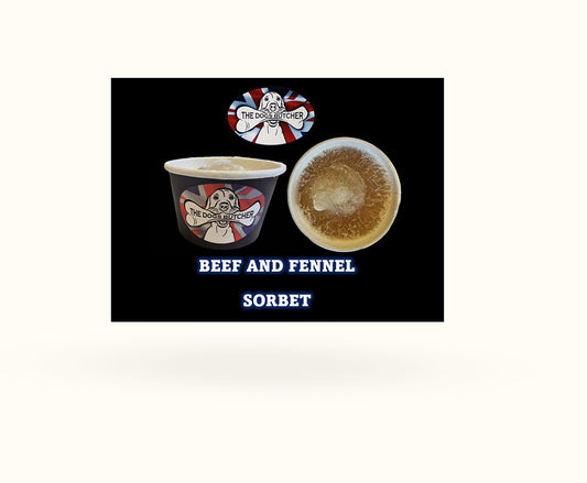 Beef bone broth and fennel Sorbet for dogs