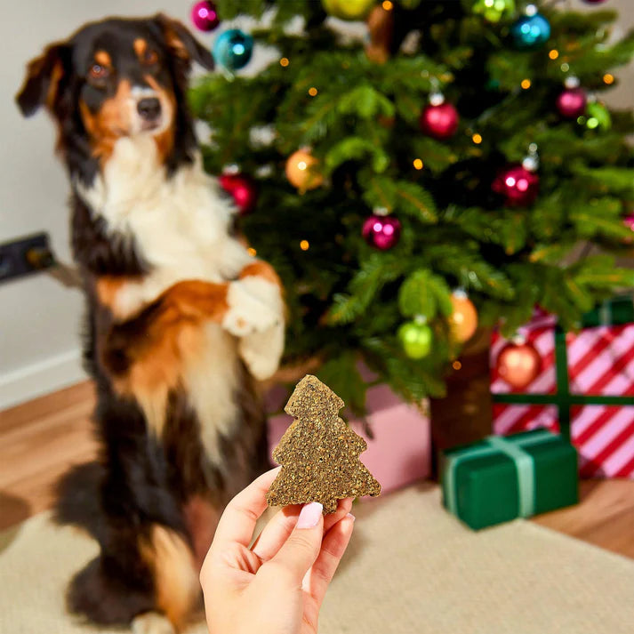 Gourmet Christmas Trees x5