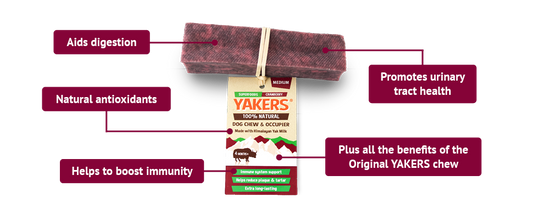 Medium Cranberry Yakers