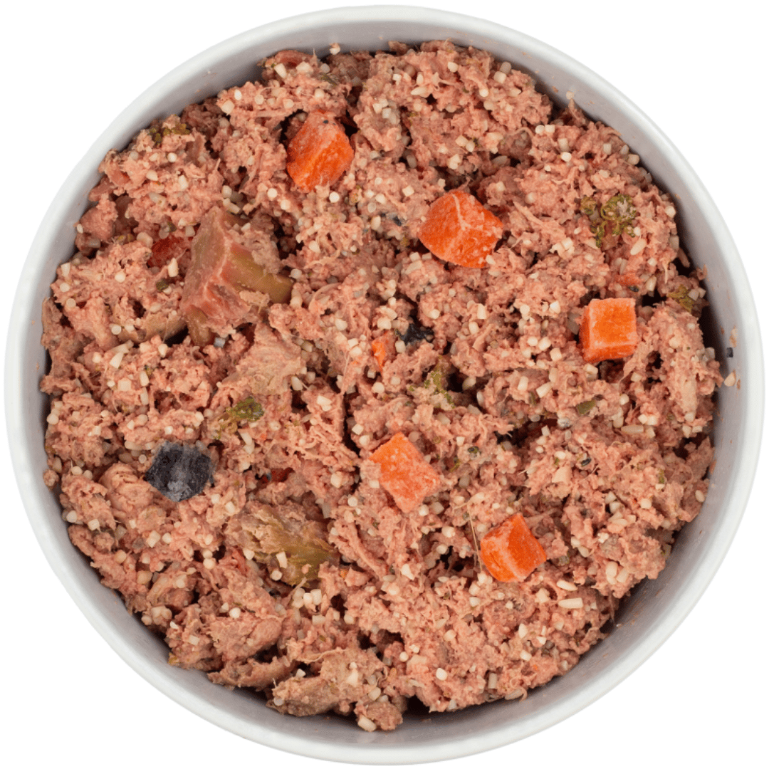 DIBO Fresh dog food in a bowl with visible ingredients on a white background