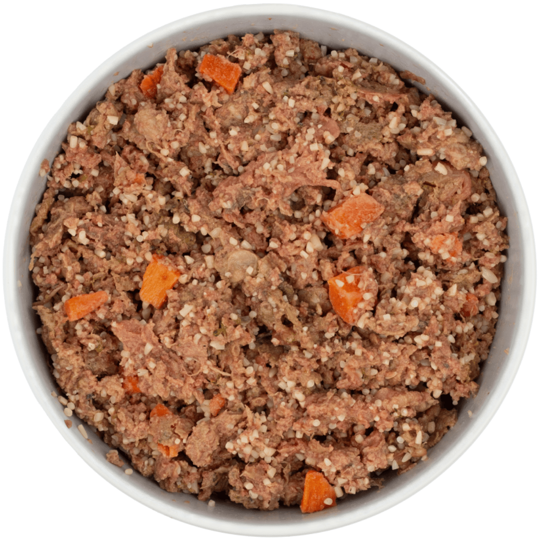 DIBO Fresh dog food in a white bowl with visible texture and orange chunks.