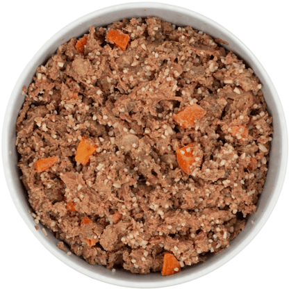 DIBO Fresh dog food in a white bowl with visible texture and orange chunks.