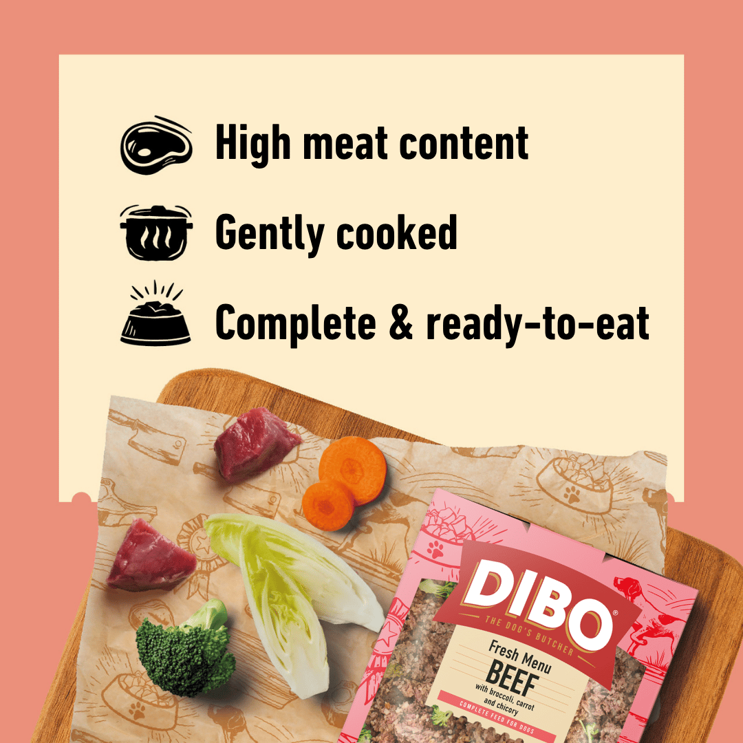 DIBO Fresh dog food packaging with ingredients on a cutting board against a pink background