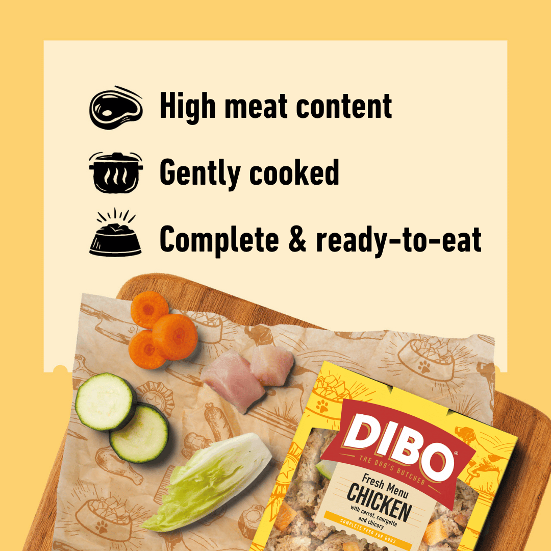 DIBO Fresh Chicken Dog food packaging with ingredients on a wooden board against a yellow background