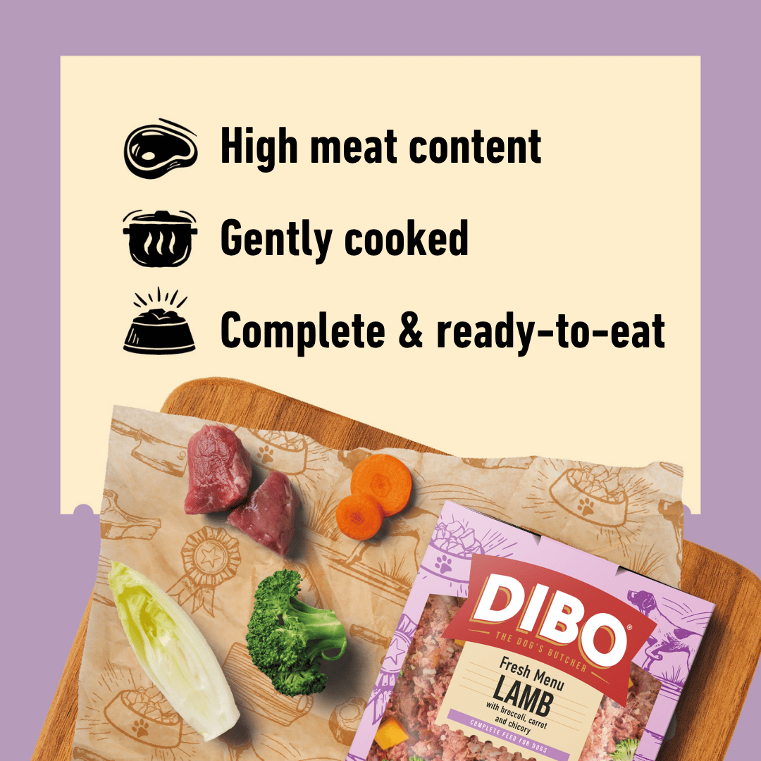DIBO Fresh dog food packaging with ingredients on a wooden board against a purple background