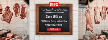 The Dogs Butcher The Dogs Butcher The Dogs Butcher