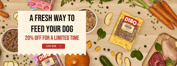 The Dogs Butcher The Dogs Butcher The Dogs Butcher
