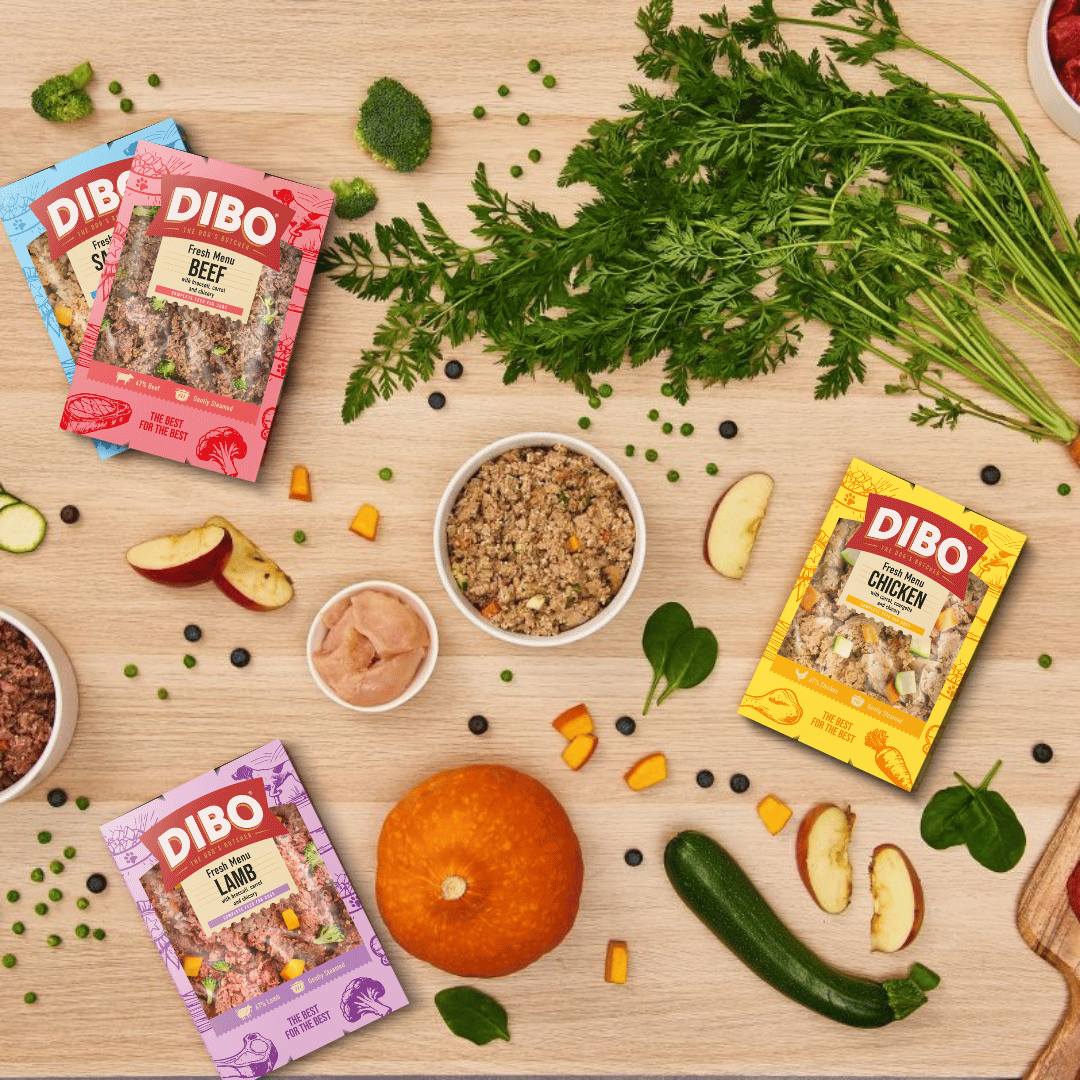 DIBO Fresh dog food  with ingredients on a wooden surface