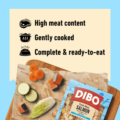DIBO Fresh Cooked Block - Salmon 400g