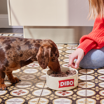 DIBO Fresh Cooked Block - Salmon 400g